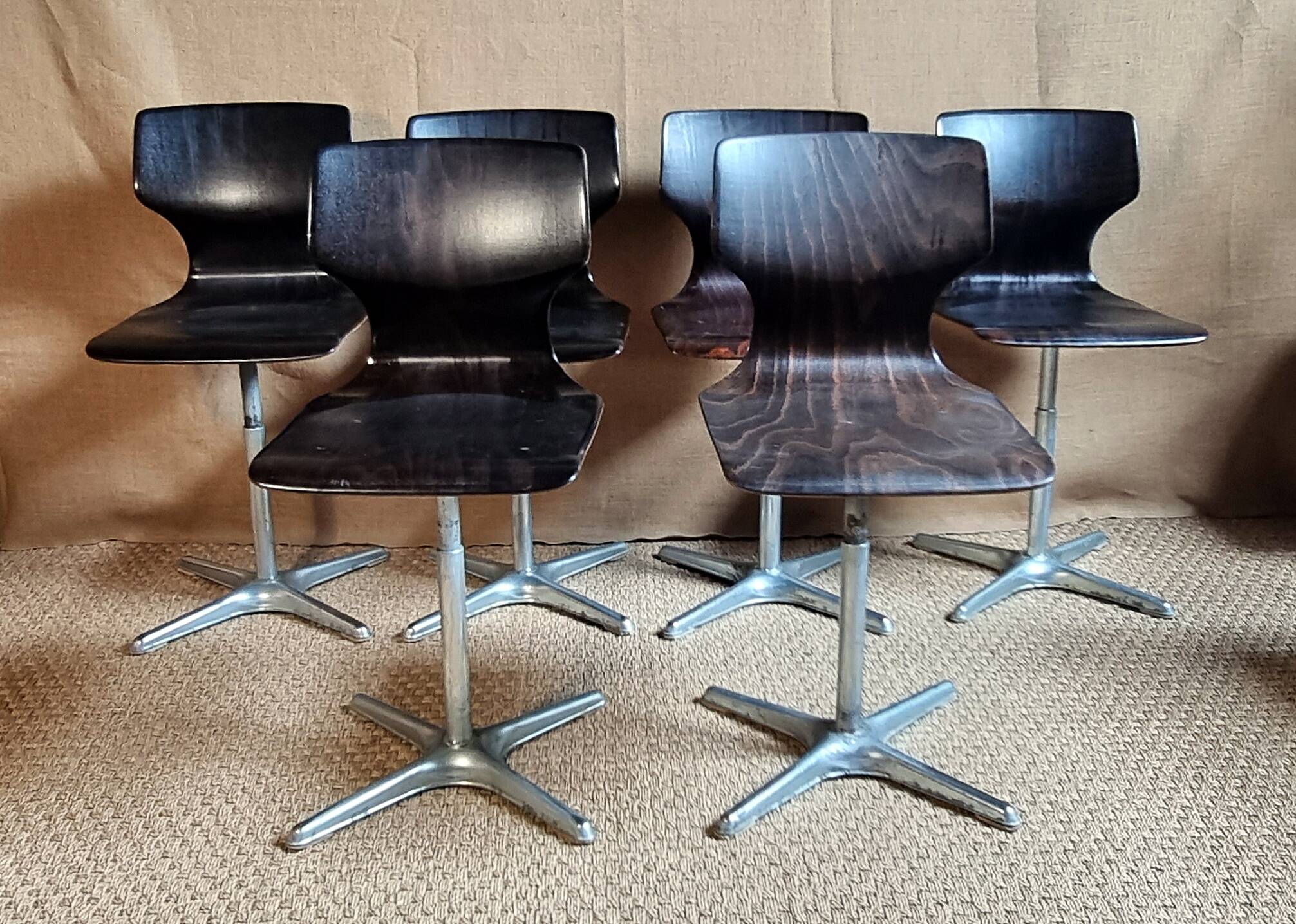 6 Pagwood Pagholz Flototo chairs from the 70s