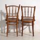 Set of 4 antique bentwood chairs in Thonet style – Central Europe, circa 1900