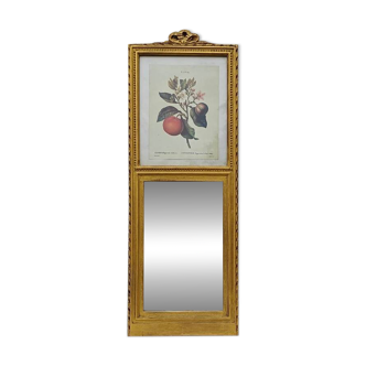 Small antique Trumeau mirror
