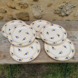 Flat plates Moulin des Loups