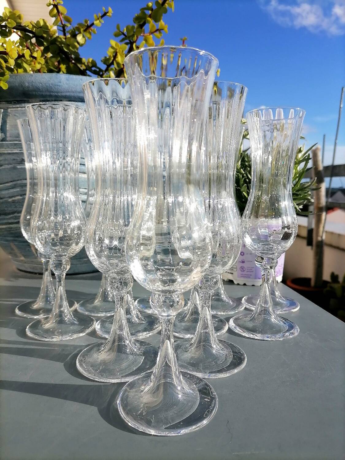 12 Daum Verona Collection champagne flutes