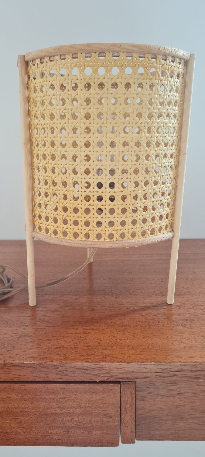 Rattan table lamp and canning