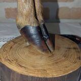 Hunting Lamp Base, Doe/Stag, Cabinet of Curiosities