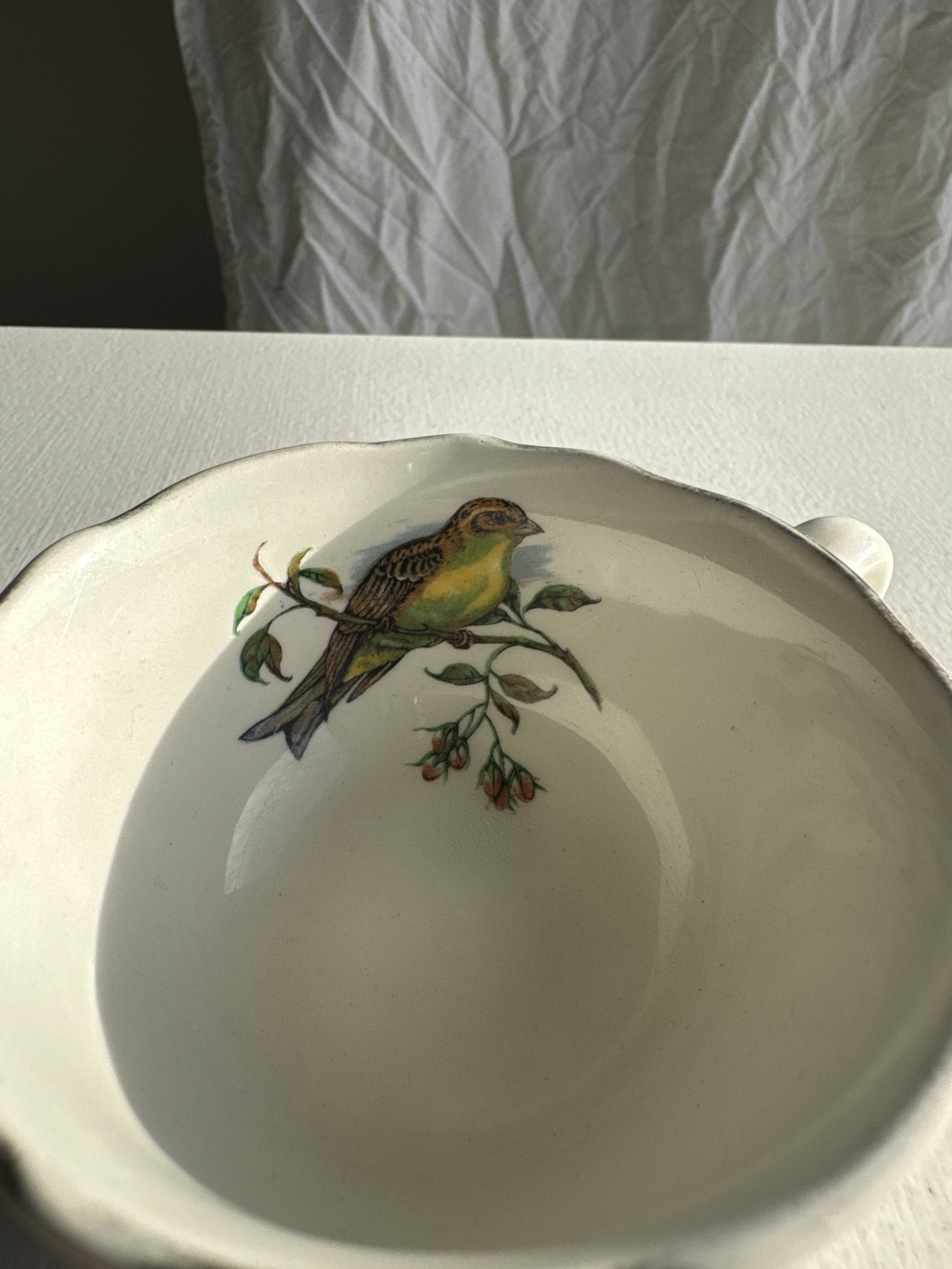 Lot de 6 tasses à café à motifs d'oiseaux anciennes