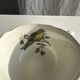 Set of 6 antique bird-patterned coffee cups