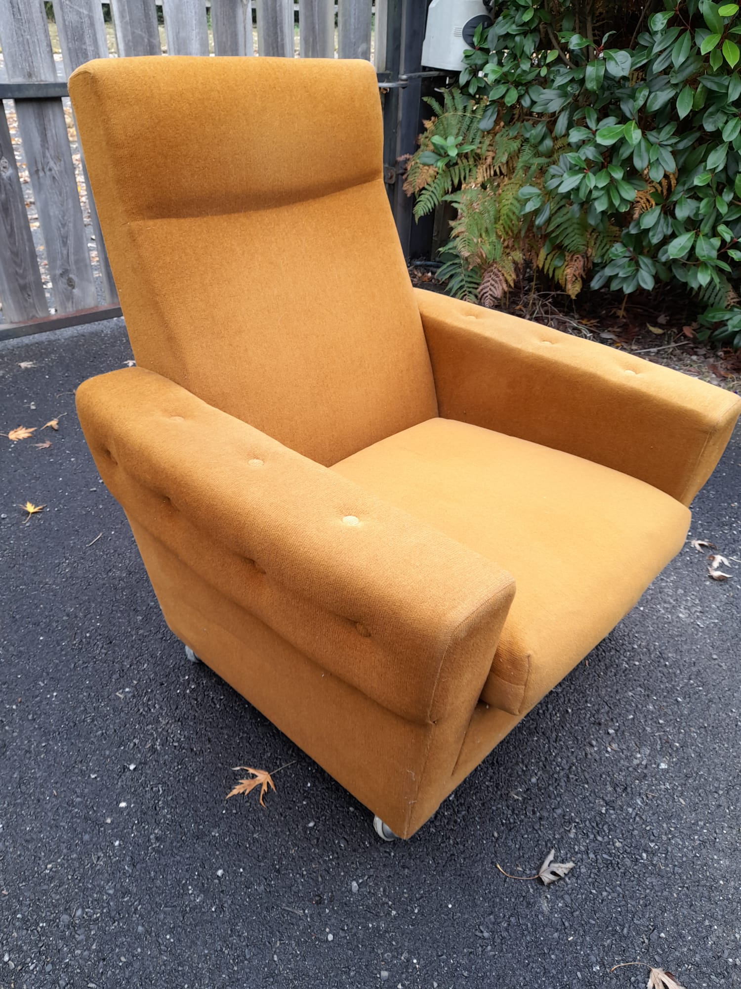 Pair of armchairs from the 70s in ochre velvet