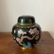 Ginger pot