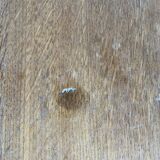 Bedside table feet compass 1950