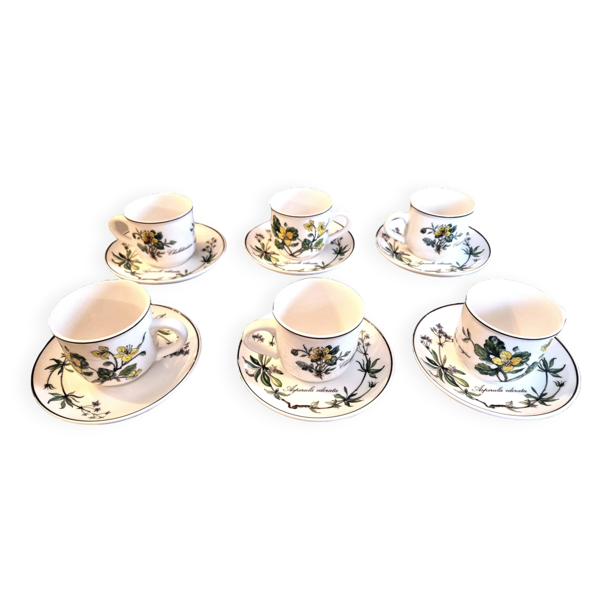Set of 6 coffee cups and saucers Villeroy & Boch, vintage, Botanica