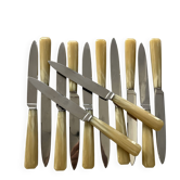 Box of 12 vintage stainless steel and resin knives