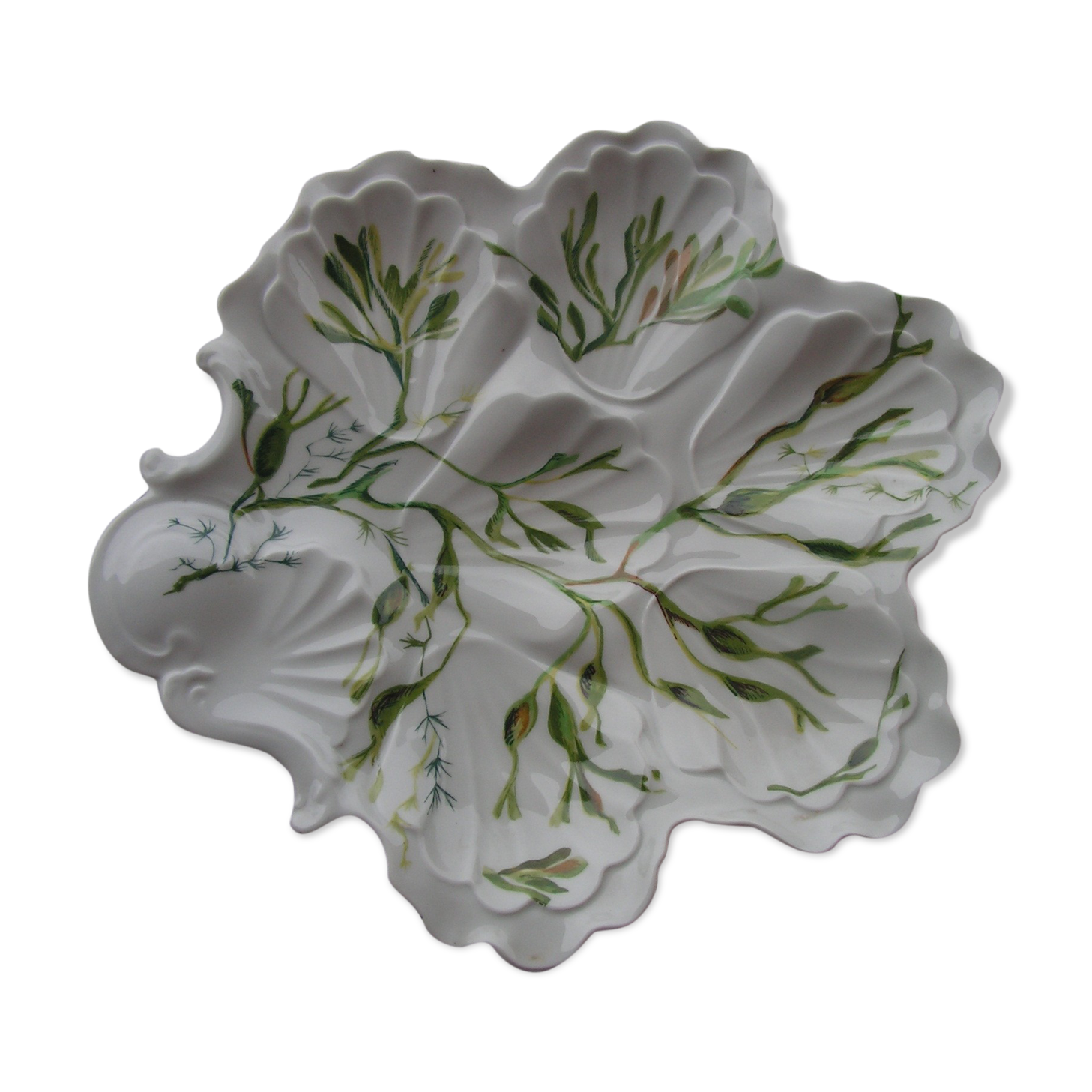 Scallop dish with seaweed decoration in ceramics