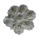 Scallop dish with seaweed decoration in ceramics