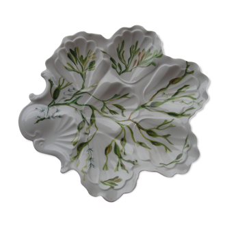 Scallop dish with seaweed decoration in ceramics