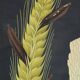 Large Vintage School Map Ergot Fungus Jung Koch Quentell