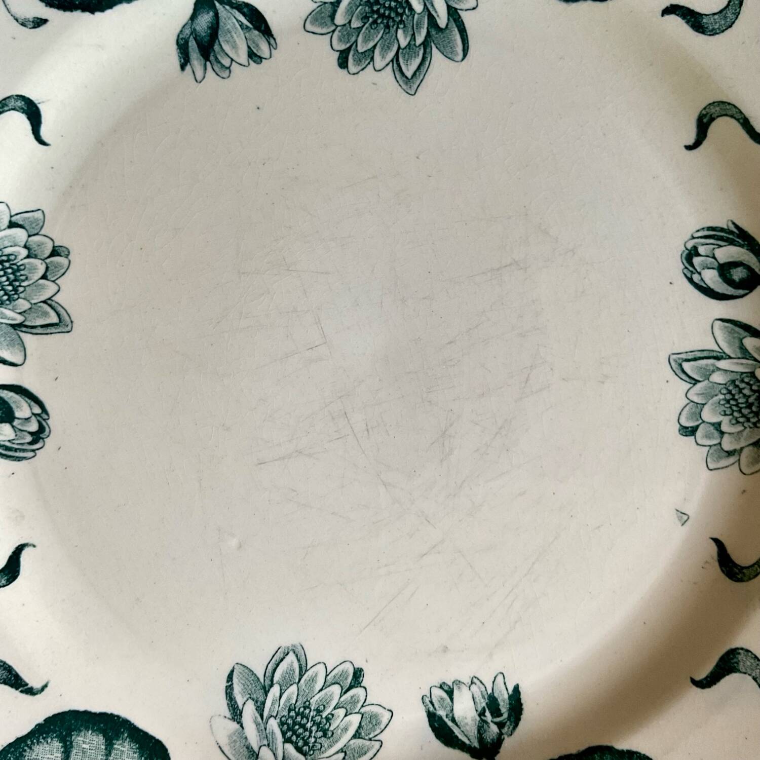 4 Nénuphar plates R & A Salins