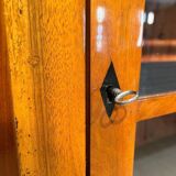 Biedermeier Bookcase in Walnut & Glass, Austria, 1825