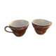 Cup with vintage saucer