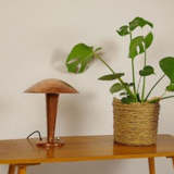 Vintage copper lamp