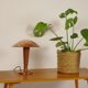 Vintage copper lamp