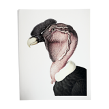 Ornithological board The condor of the Andes