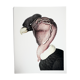 Ornithological board The condor of the Andes