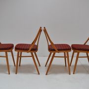 Set of four chairs by Antonín Šuman,1980