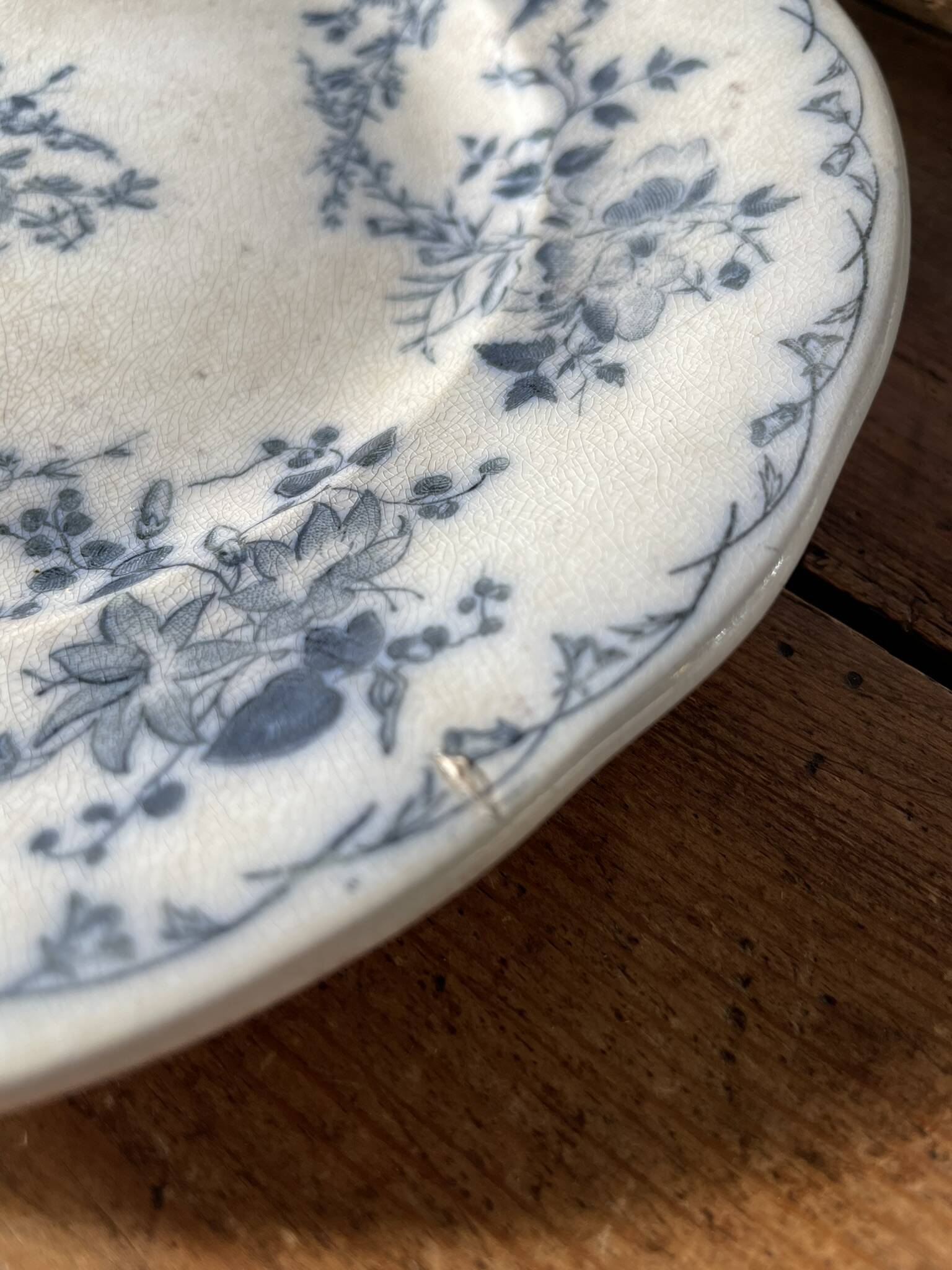 Lot de 4 assiettes plates Bertha Sarreguemines