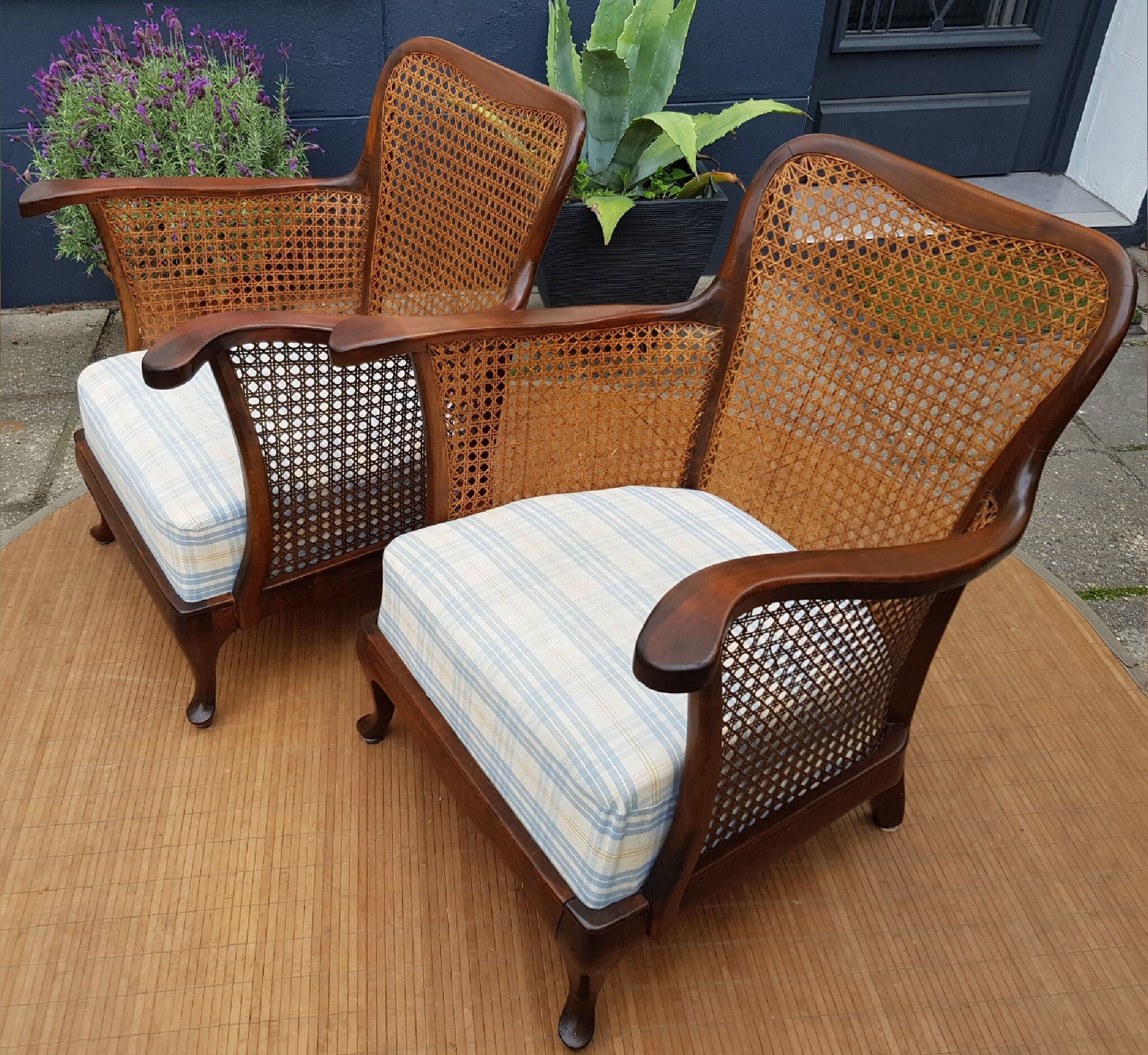 English canine armchair