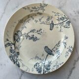 Dish hb takou