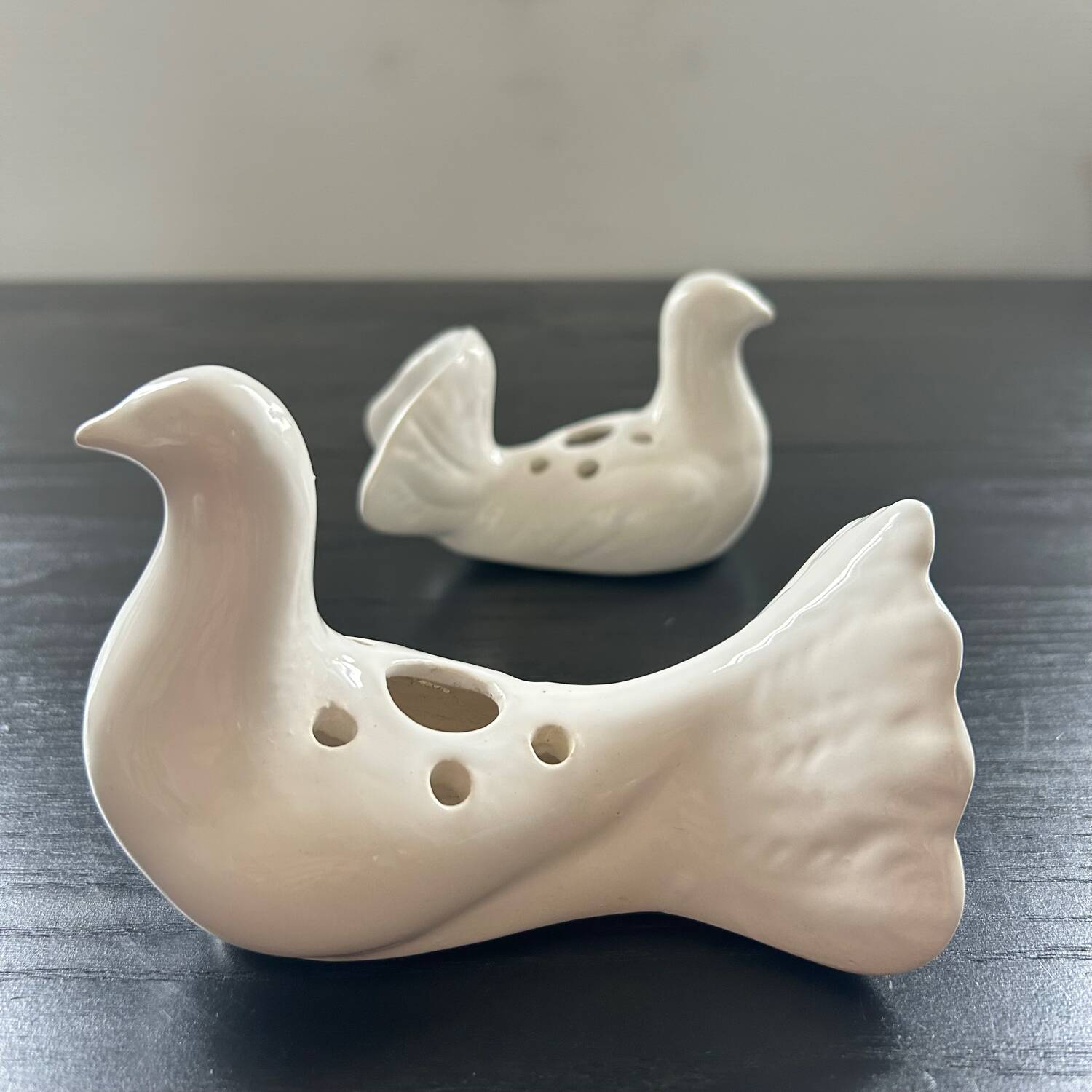 Duo of doves pecking flowers