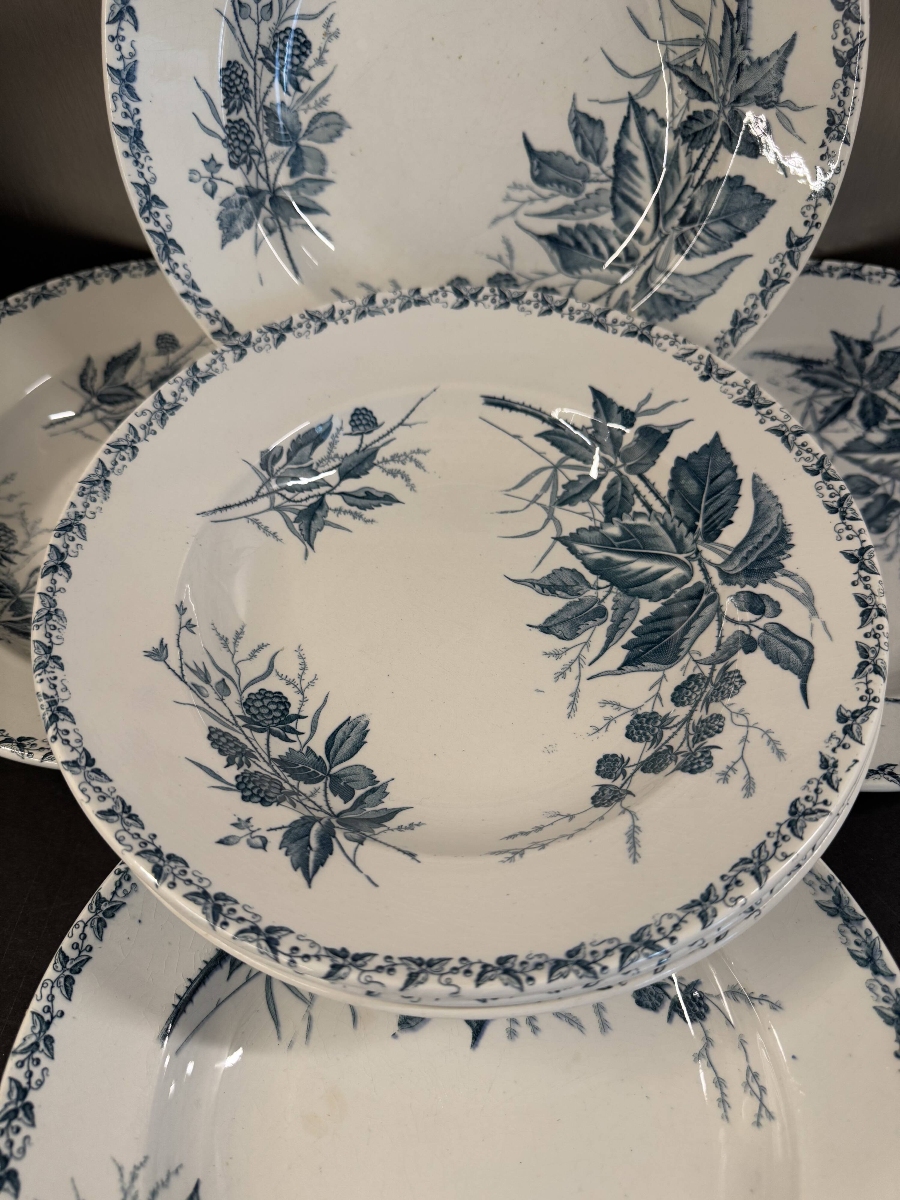 6 deep plates in ironstone "Mûre" Badonviller