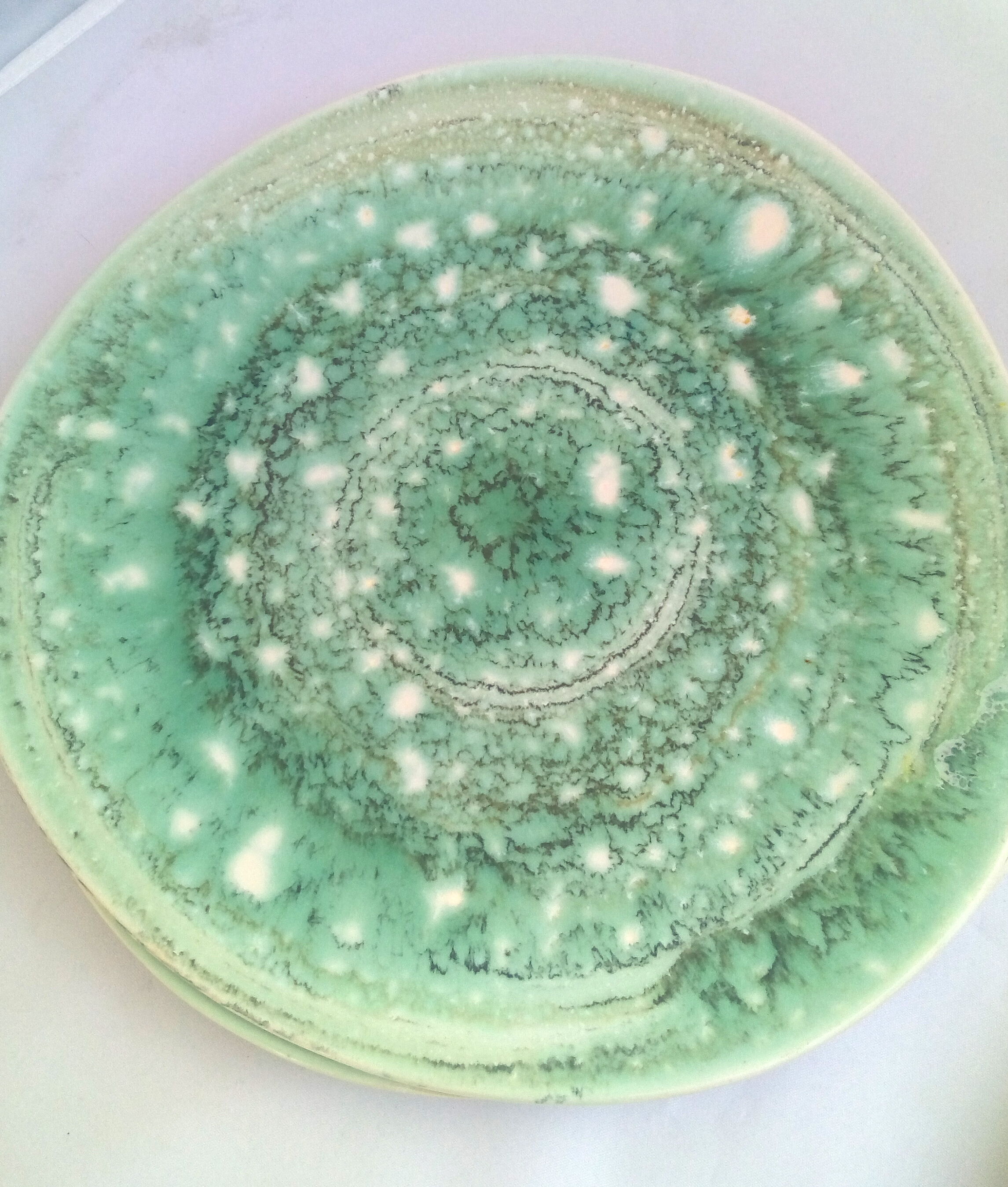 Lot of 7 plates Niderviller green celadon earthenware