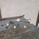 Serjac telescopic coat rack