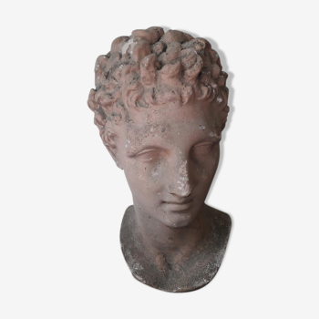 Buste Apollon plâtre XIXème