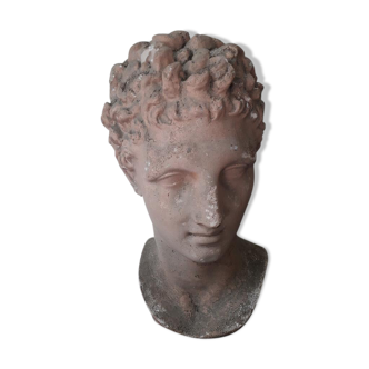Bust Apollo in plaster 19th century