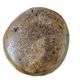 A substantial hand-hewn wooden bowl carved from a single burl section