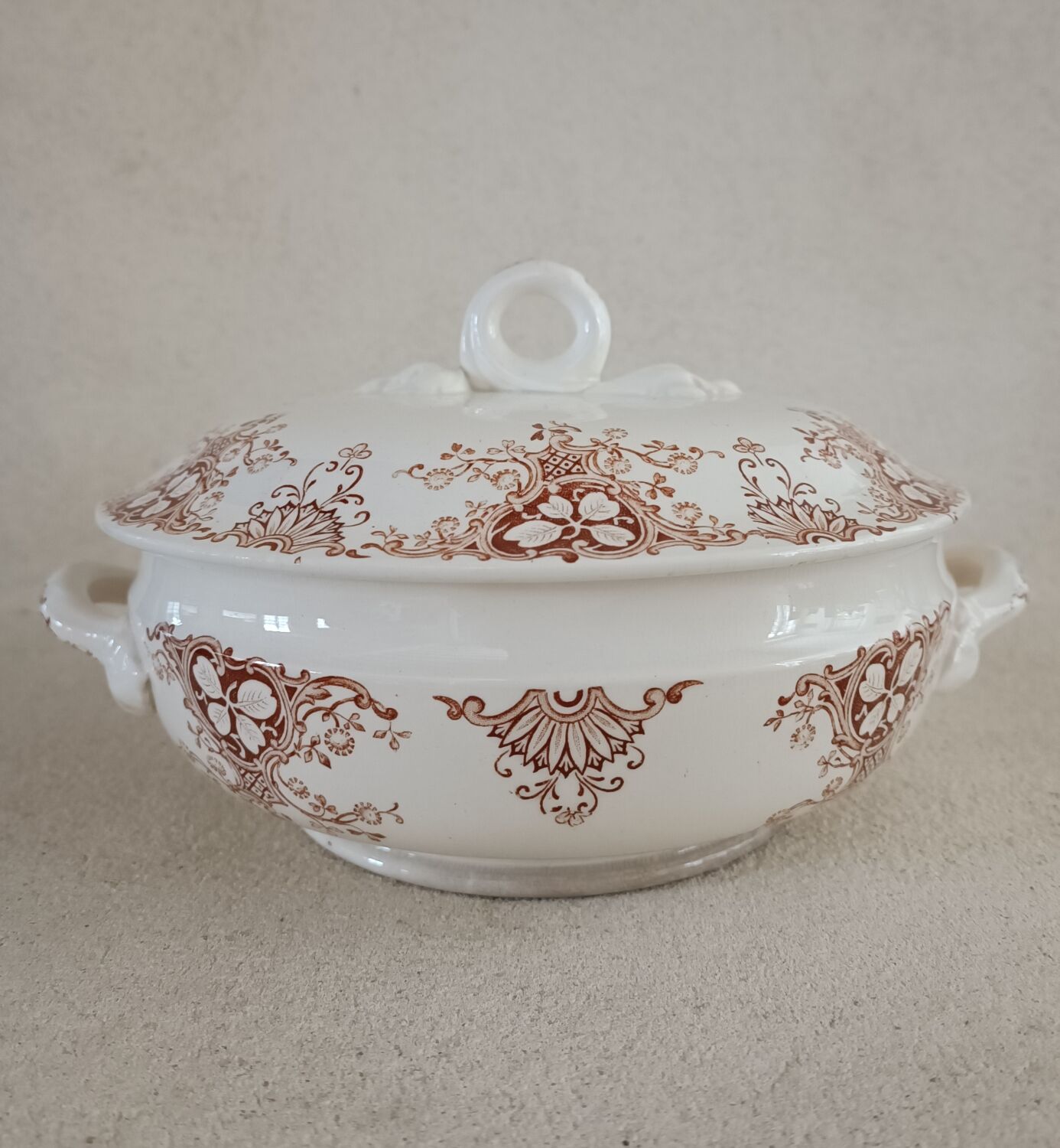 6 plates and vegetable iron earth Lunéville