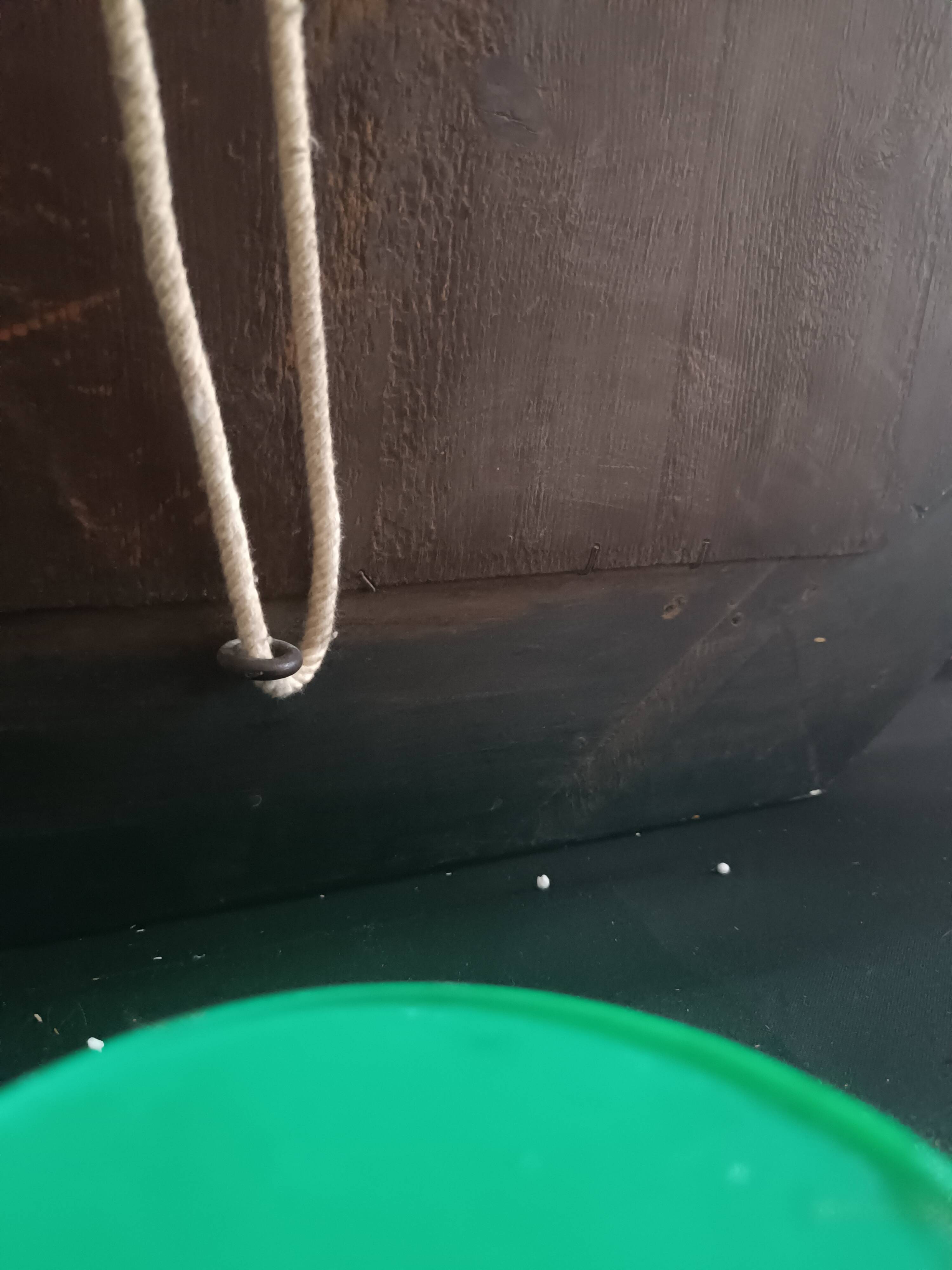 Large octagonal Venetian Murano mirror. Early 19th century