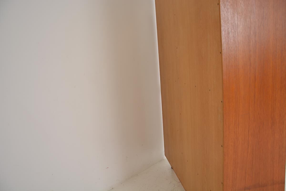 Scandinavian bookcase 1960