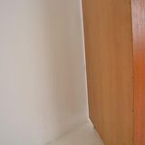 Scandinavian bookcase 1960