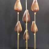 Cabinet of Curiosities globe with conus figulinus shells