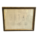 Architectural drawing 1857, glazed wood frame
