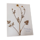 Old French botanical plate – Pressed plant (Buttercup) Format