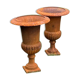 Medici pair