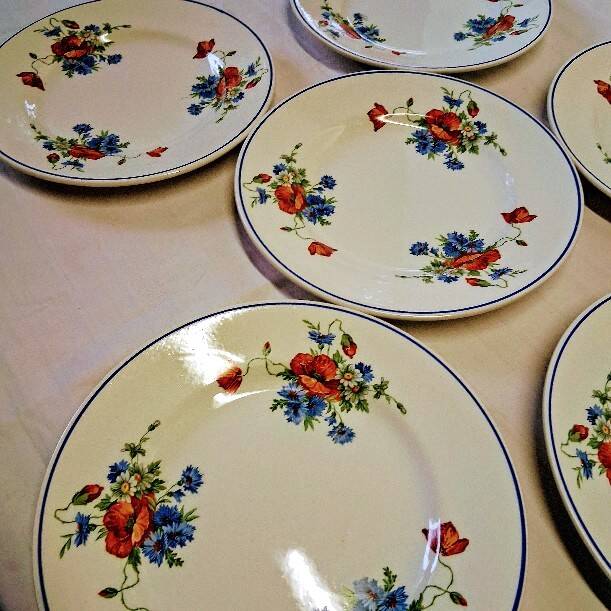 6 flat plates from Salins les Bains, "Poppies" pattern, in very good condition