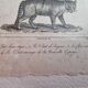 Old print Cats edition Panckoucke