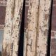 "Ethnic" double door, antique (19th/early 20th century)