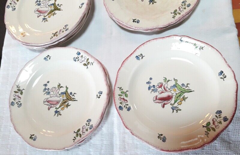 Set of 13 plates Gien earthenware 25cm
