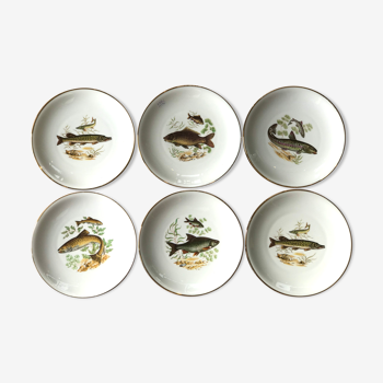 Assiettes porcelaine poisson