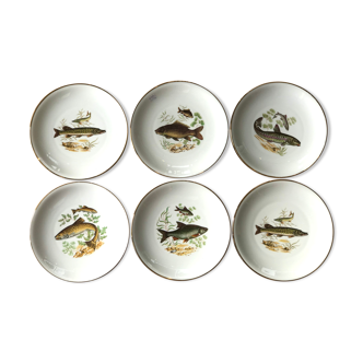 Porcelain fish plates